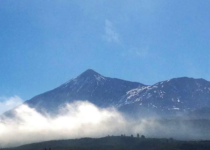 Ocean Park Ii * 아데제