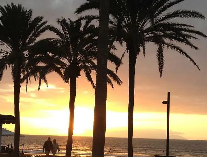 Apartman Ocean Park Ii Costa Adeje (Tenerife)